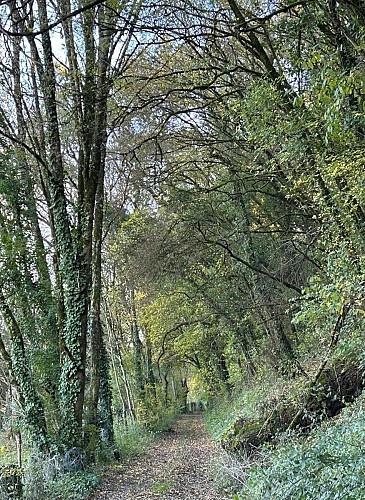 sentier Coulonges