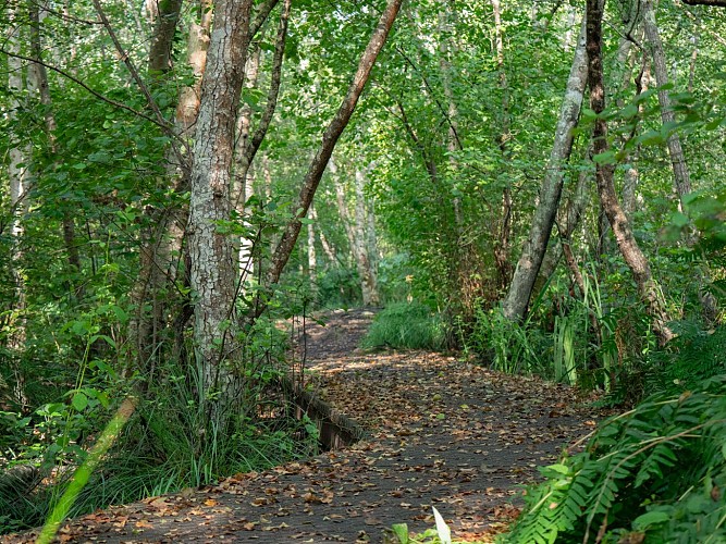 Sentier de la Berle_©MAT_-04-2