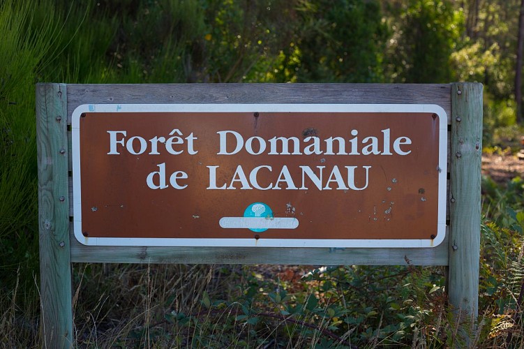 Bordeaux-Lacanau