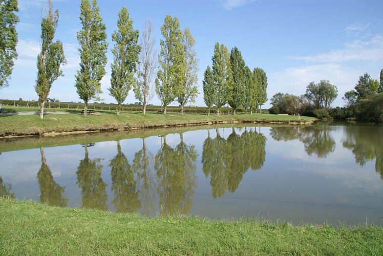 Boucle locale de Saint-Martial