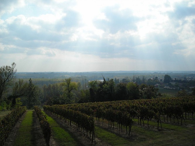 Boucle de Caudrot et Sainte Foy la Longue