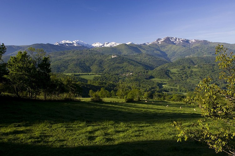 le sentier du Pays d'Olmes Nord