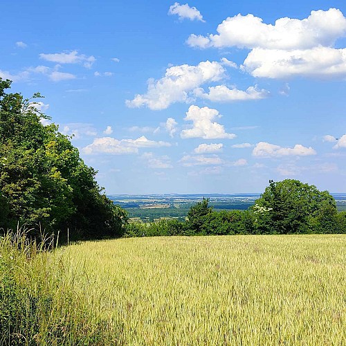 vue sur la plaine