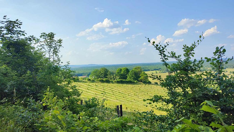 vue du chemin