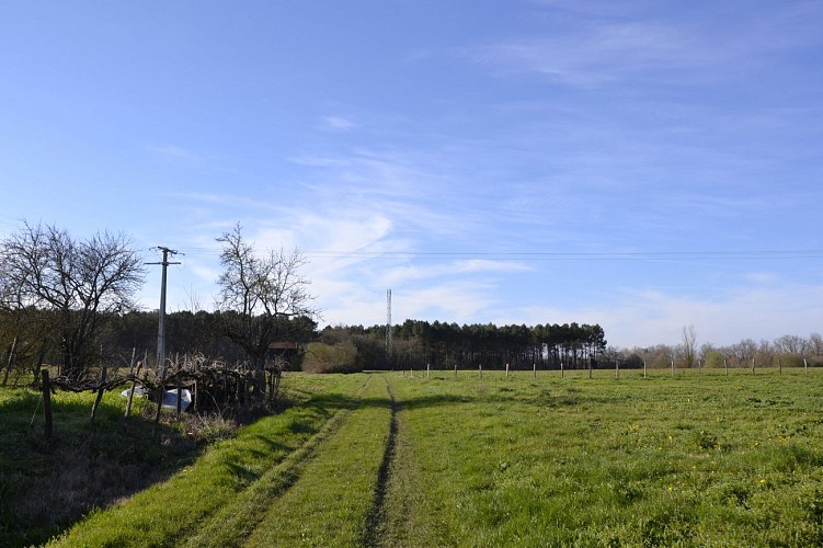 campagne boucle de la bassanne