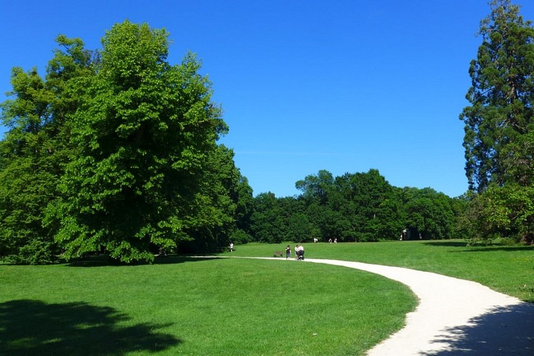 La forêt de Sénart, de Soisy-sur-Seine à Tigery