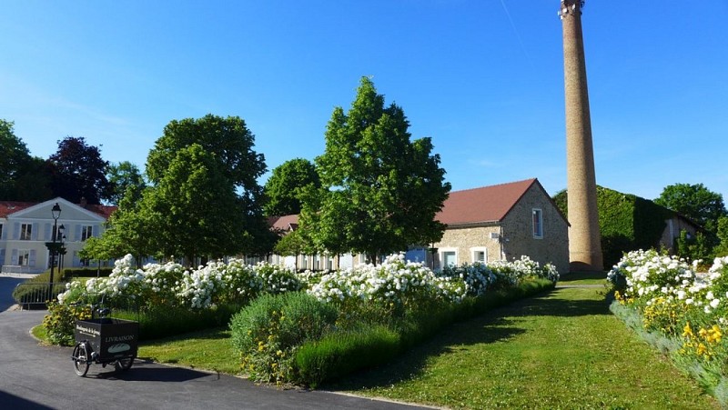 La forêt de Sénart, de Soisy-sur-Seine à Tigery