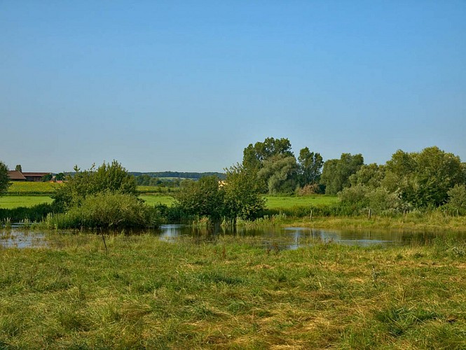 La vallée de la Seille