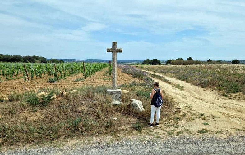 RANDONNEE SENTIERS, RIVIERE ET SOUS-BOIS