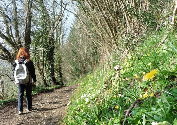 chemin-pays-de-vire-TIS