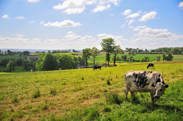 Maisoncelles-la-Jourdan-15-TIS