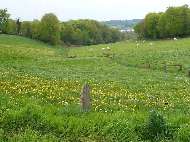 vue-sur-les-champs-TIS