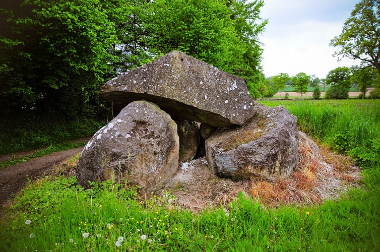 St-Germain-de-Tallevende--2--TIS