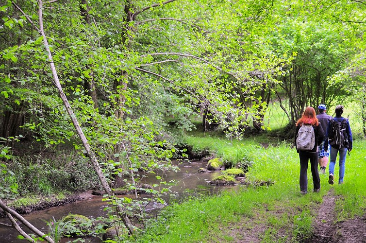 St-Germain-de-Tallevende--6--TIS