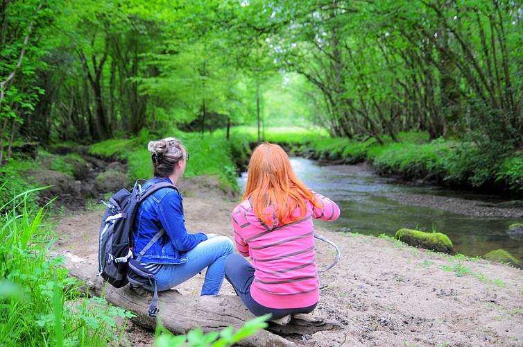 St-Germain-de-Tallevende--4--TIS