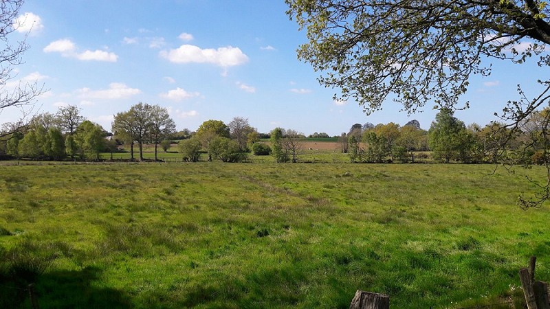 le-marais-de-truttemer-TIS