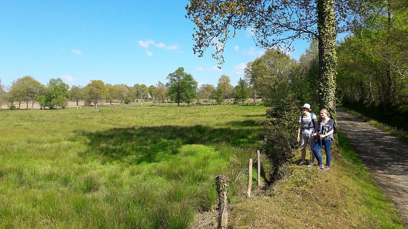 balade-dans-le-marais-de-truttemer-TIS