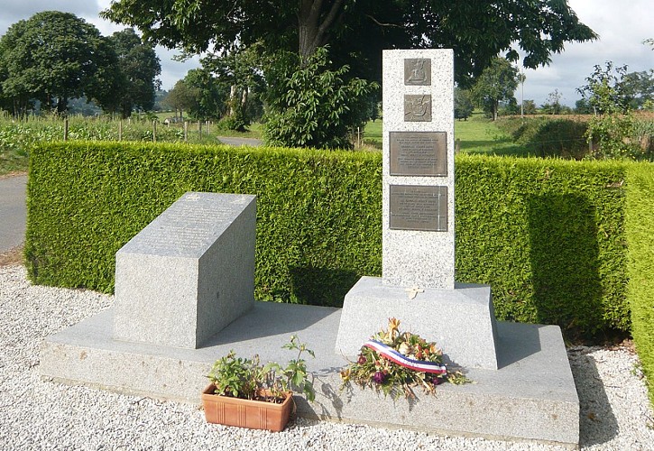 stele-de-la-Pavee-TIS