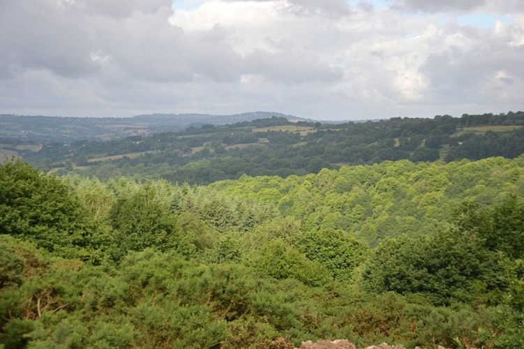 panorama-du-mont-olivier-TIS