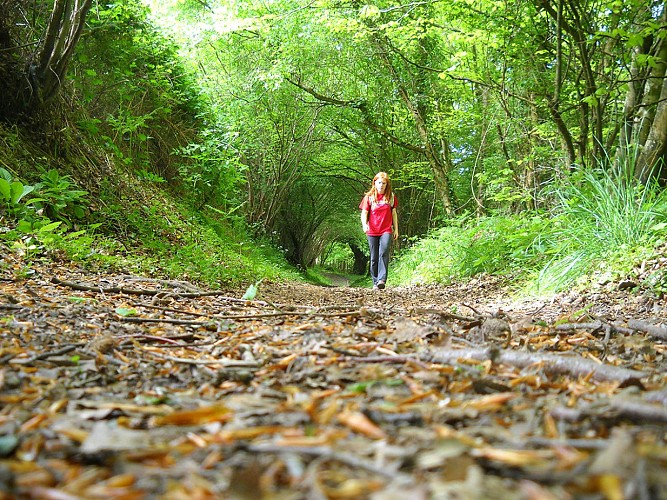 rando-butte-de-grosmont-TIS