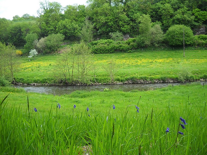 riviere-du-bocage-TIS