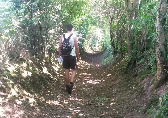 sentier-de-mesnil-auzouf-TIS