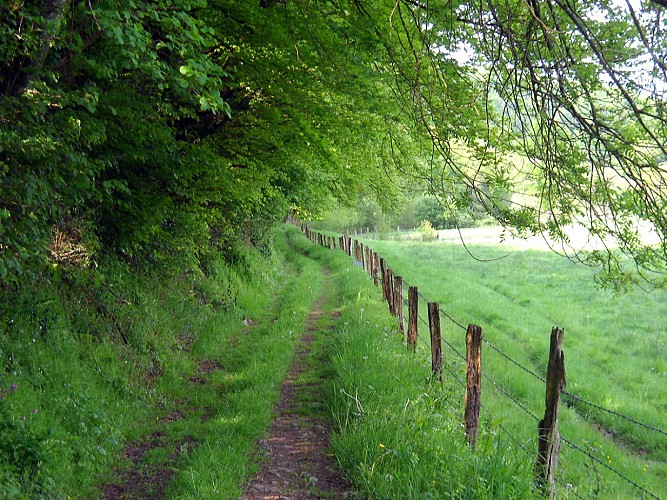 Chemin-de-la-Groudiere-TIS