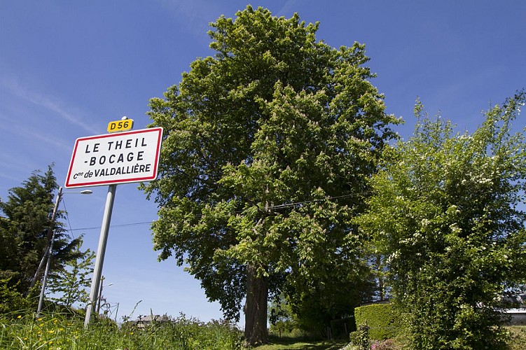 le-marronnier-du-theil-bocage-TIS