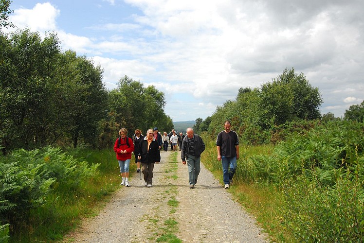 randonnee-a-danvou-la-ferriere-TIS