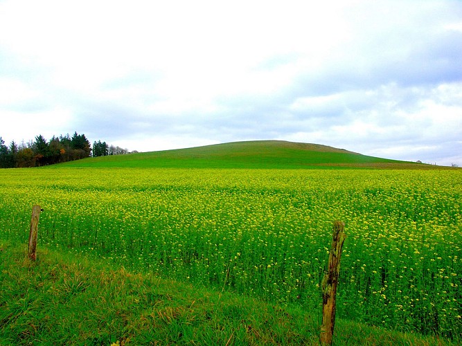 mont-chauve-nature-TIS