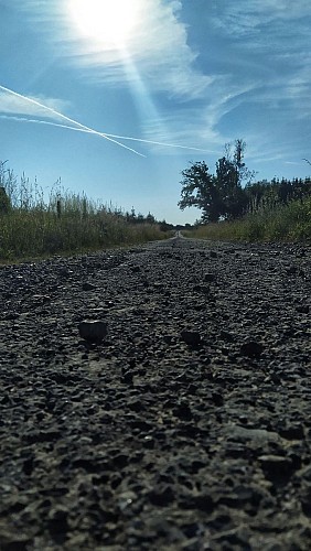 IMG_20230614_084739-01