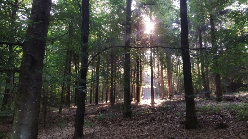 IMG_20230614_081432-01