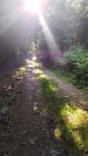 IMG_20230614_082024-01