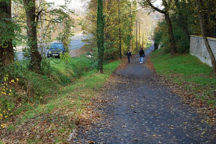 Les lacs de l’Essonne : la biodiversité est reine