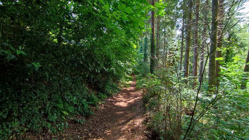 Boucle de Château Blanc | Les Sept Saints