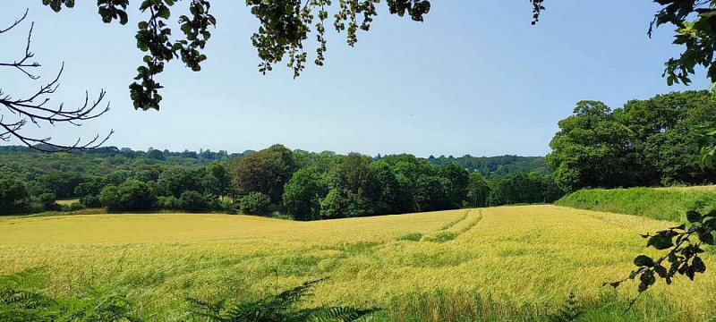 Boucle de Château Blanc | Les Sept Saints