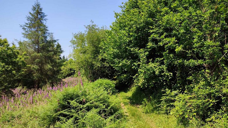 Boucle de Château Blanc | Les Sept Saints