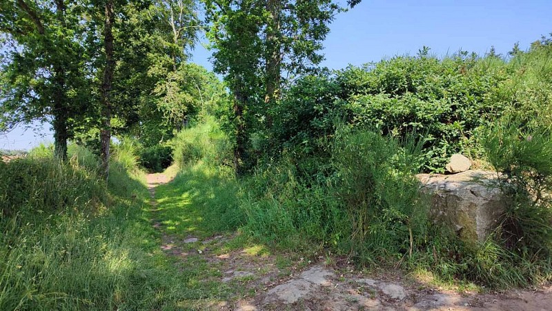 Boucle de Château Blanc | Les Sept Saints