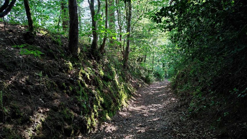 Boucle de Château Blanc | Les Sept Saints