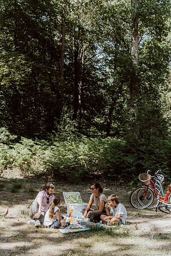 Picnic in the Ermenonville forest
