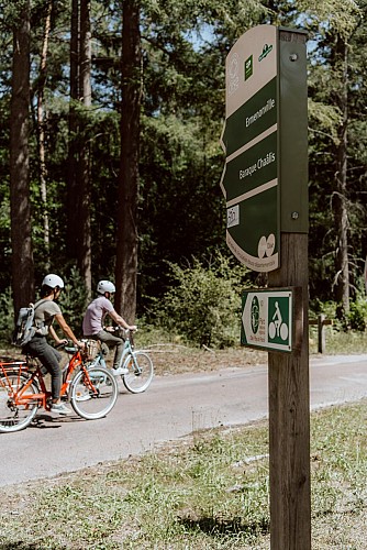 Cyclistes en forêt d'Ermenonville