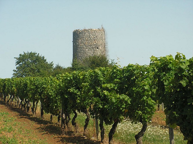 colombier-moulins