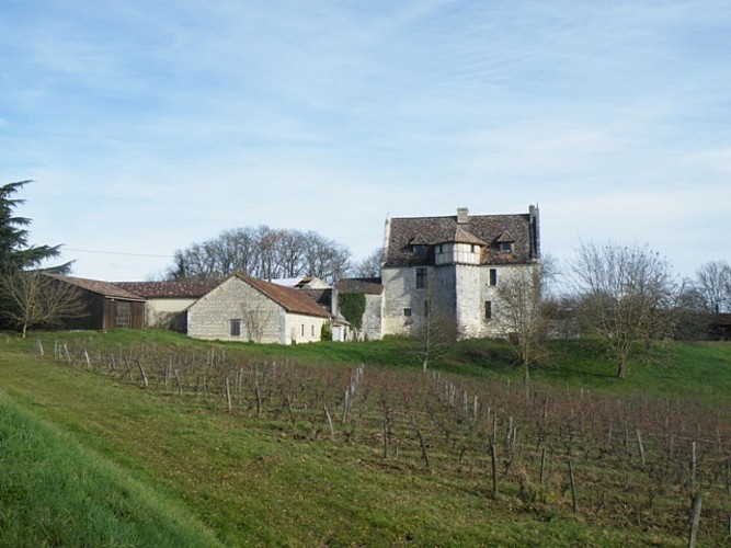 Grande Maison 1