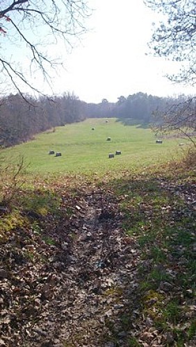 2014-03-11_11-17-16A