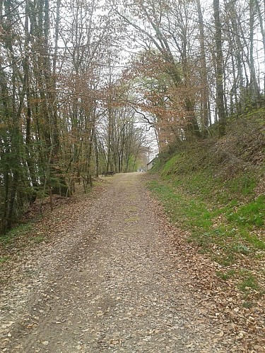 arrivée au chateau 2