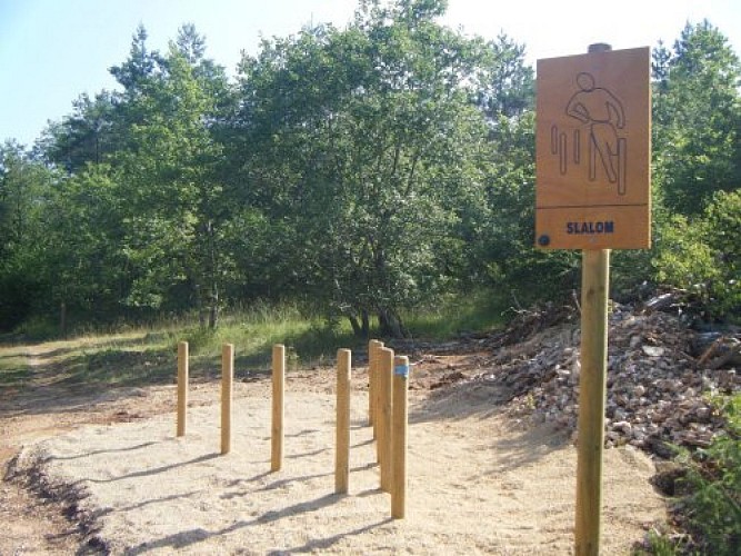 slalom