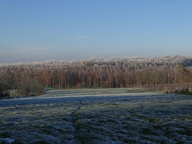 Vue champs Hivert Bossière Amandine Couvreur (6)