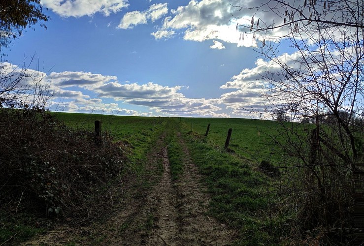 Chemin de terre Bossière Amandine Couvreur (8)
