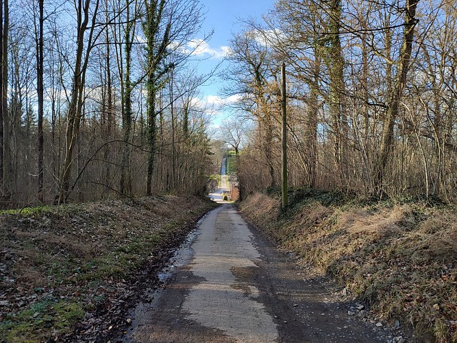 Rue de la FAusse Cave Bossière Amandine Couvreur (4)