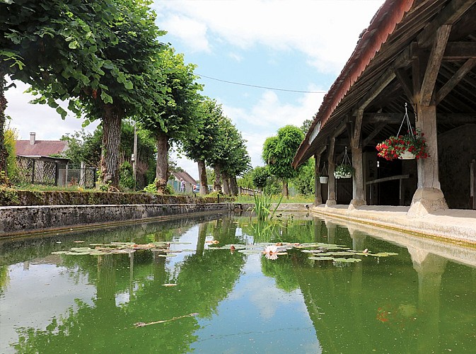 Luisetaines, le marais de l’Auxence, randonnée pédestre à Luisetaines, proche de Provins